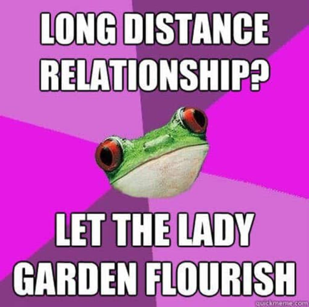 long distance relationship meme let your lady garden flourish meme