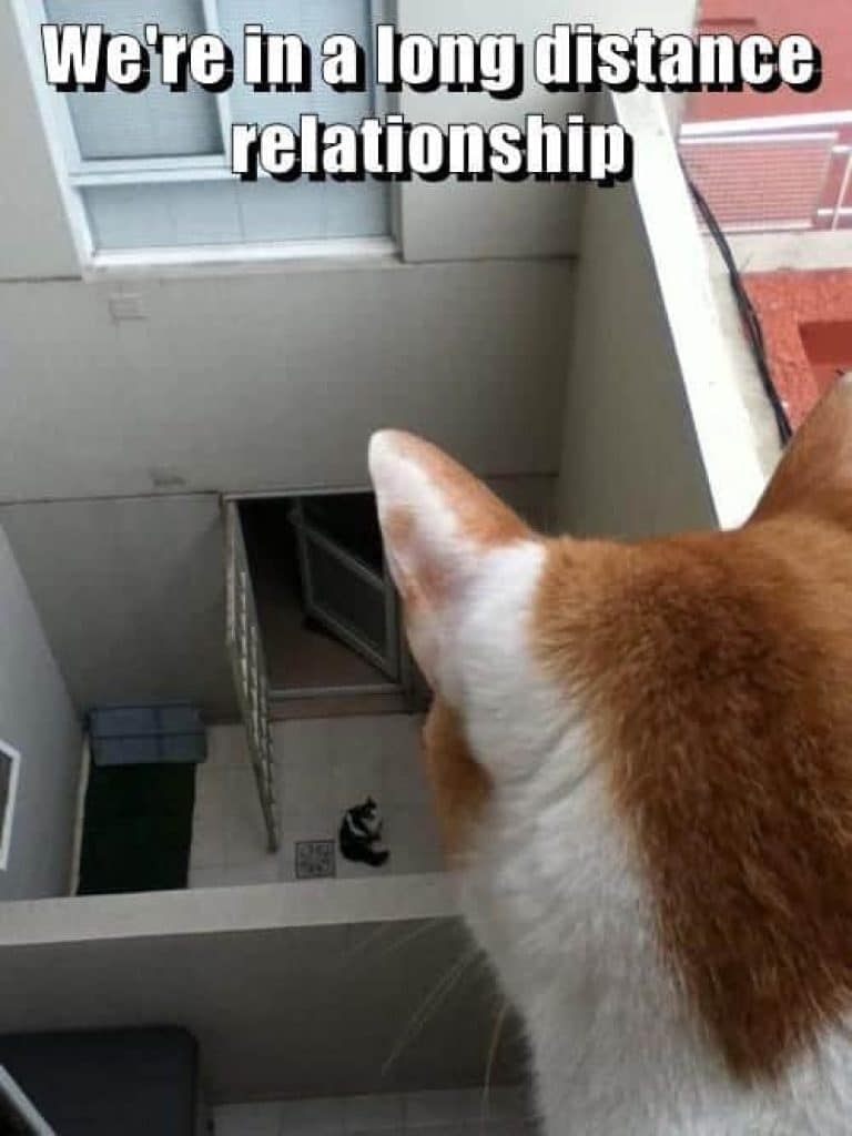 long distance relationship were in a long distance relationship meme