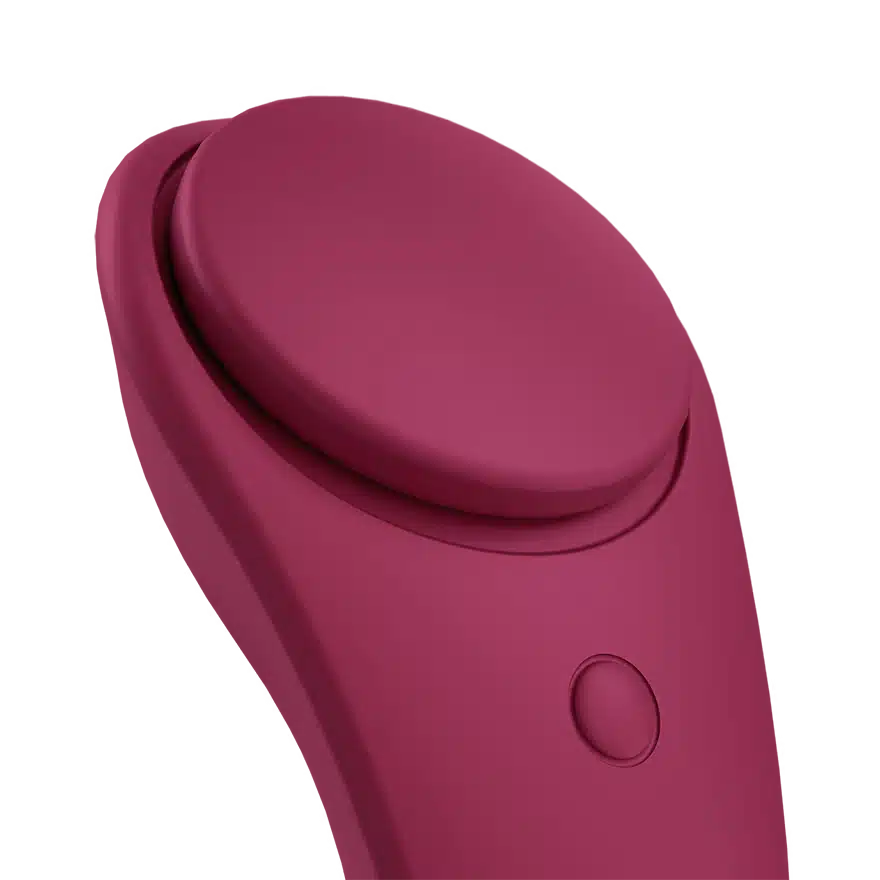 Satisfyer sexy secret pantry vibrator